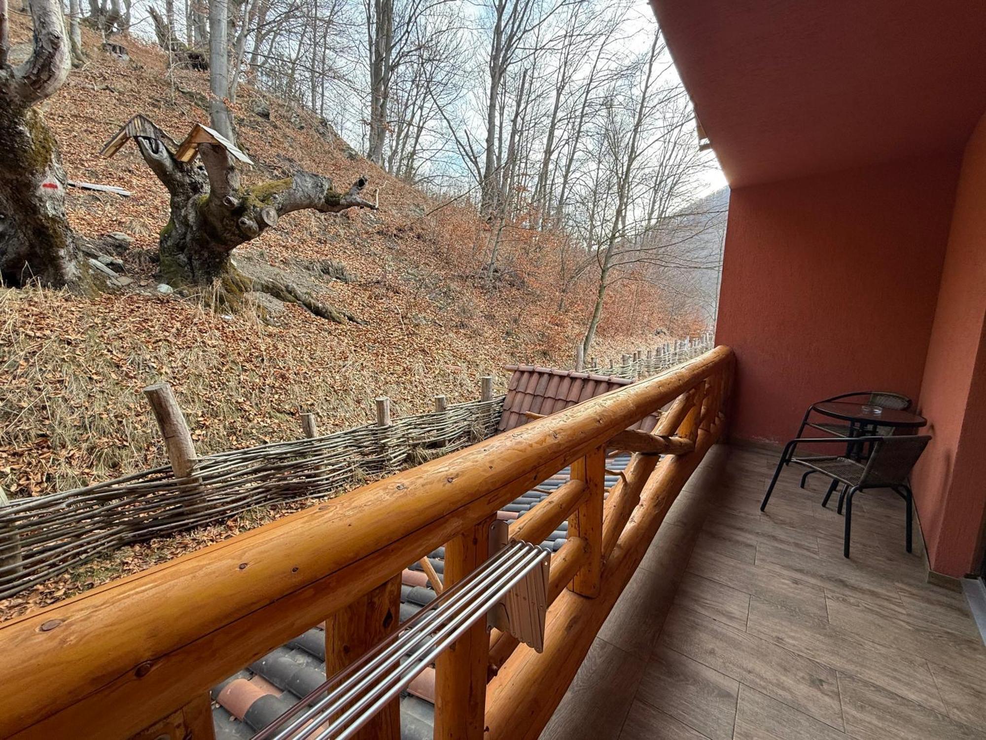 Conacul Radacinilor Hotel Petrosani Bagian luar foto