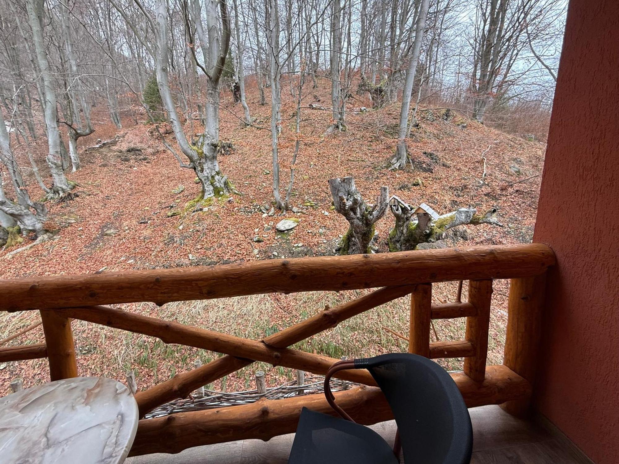 Conacul Radacinilor Hotel Petrosani Bagian luar foto